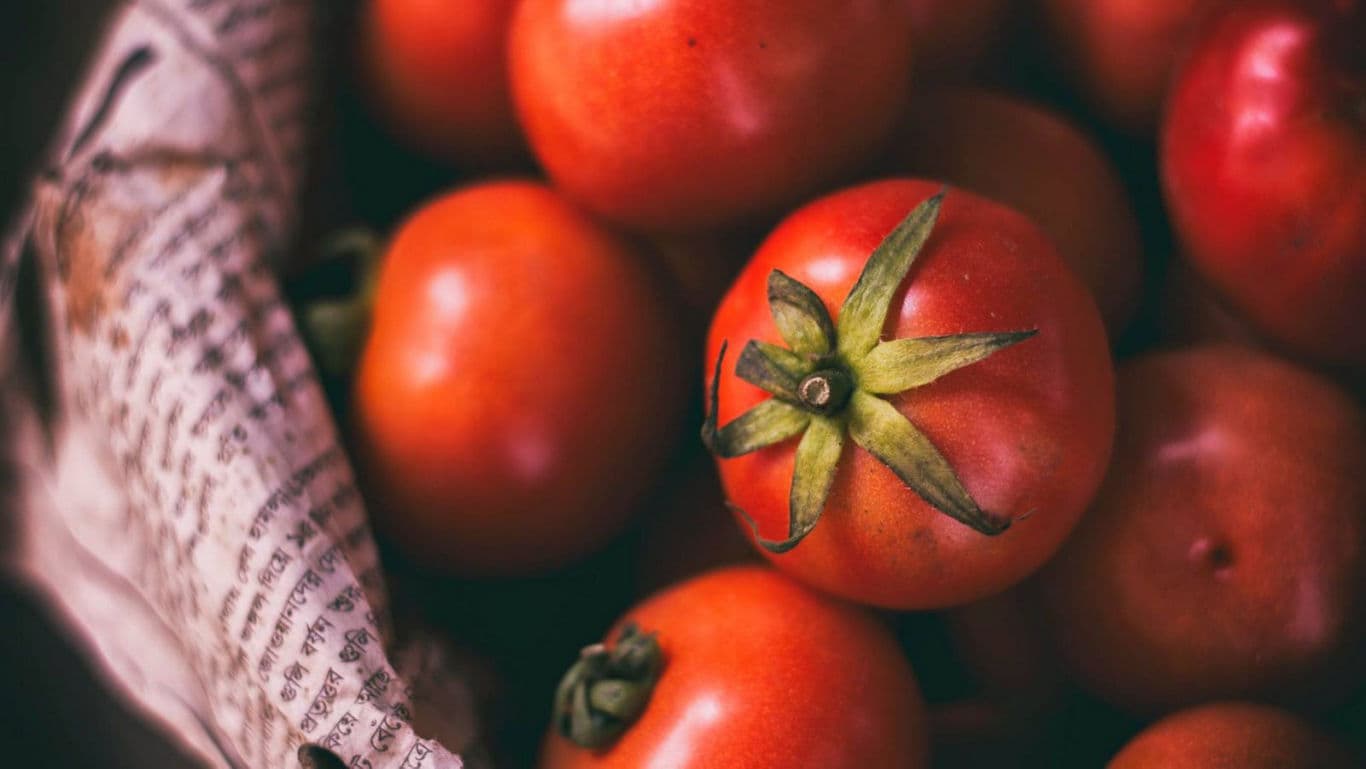 Fresh red tomatoes in rustic basket
