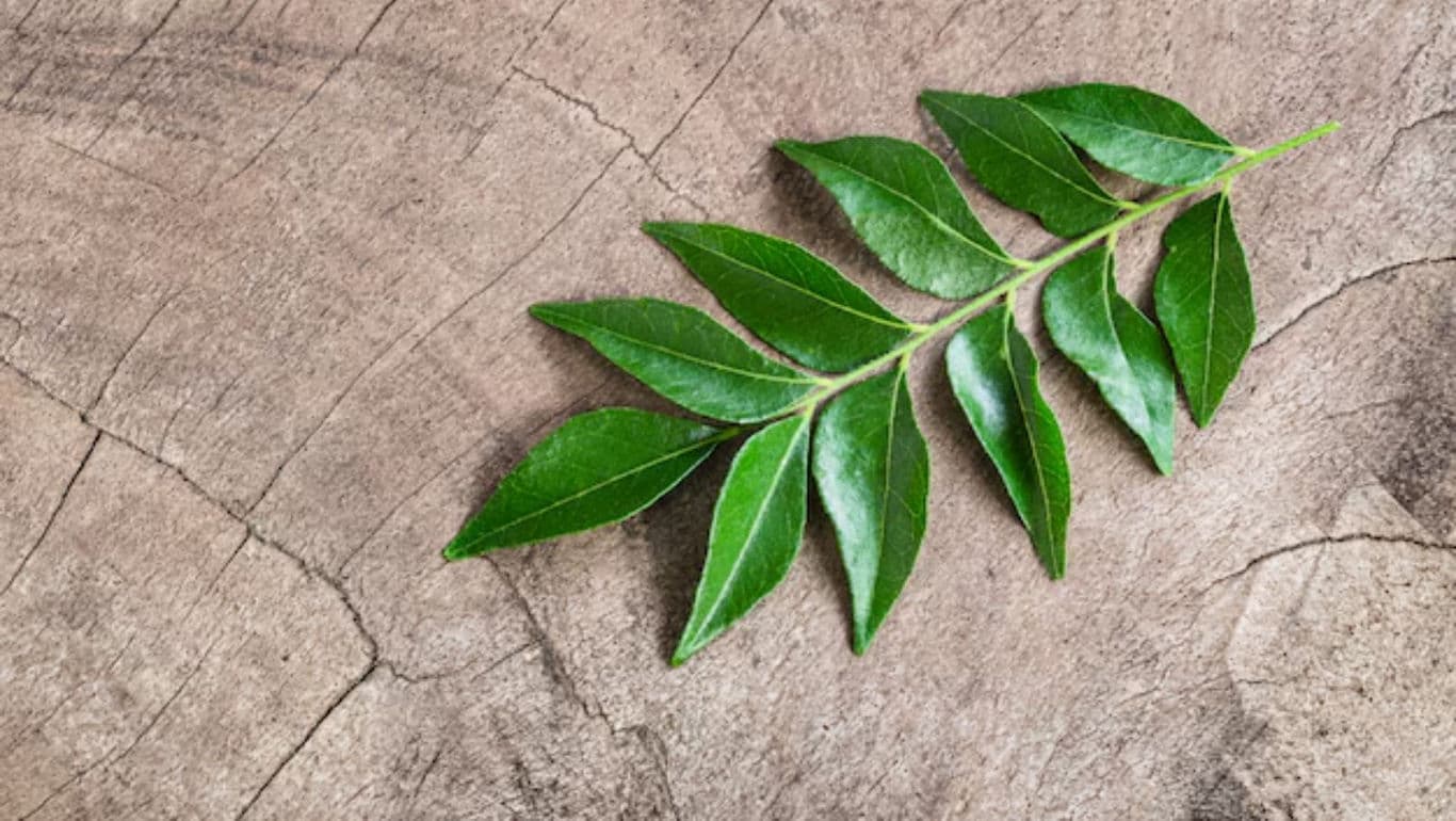 Beyond Curry: Unexpected Uses for Curry Leaves
