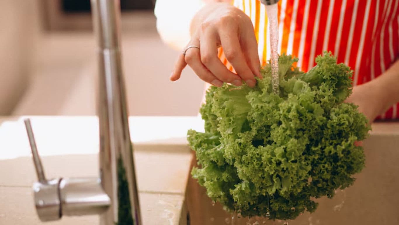 Person Washing Fresh Lettuce Under Kitchen Faucet