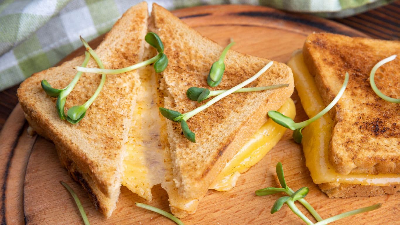Grilled cheese sandwich with sprouts garnish
