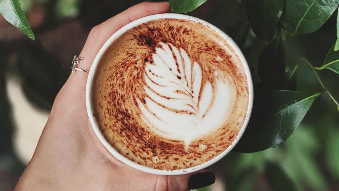 Hand holding latte with leaf art design