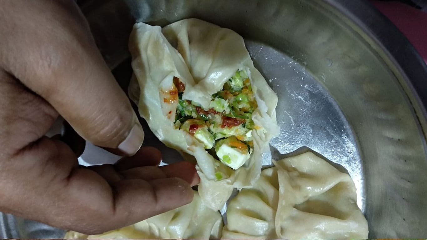 Hand holding stuffed vegetable dumpling