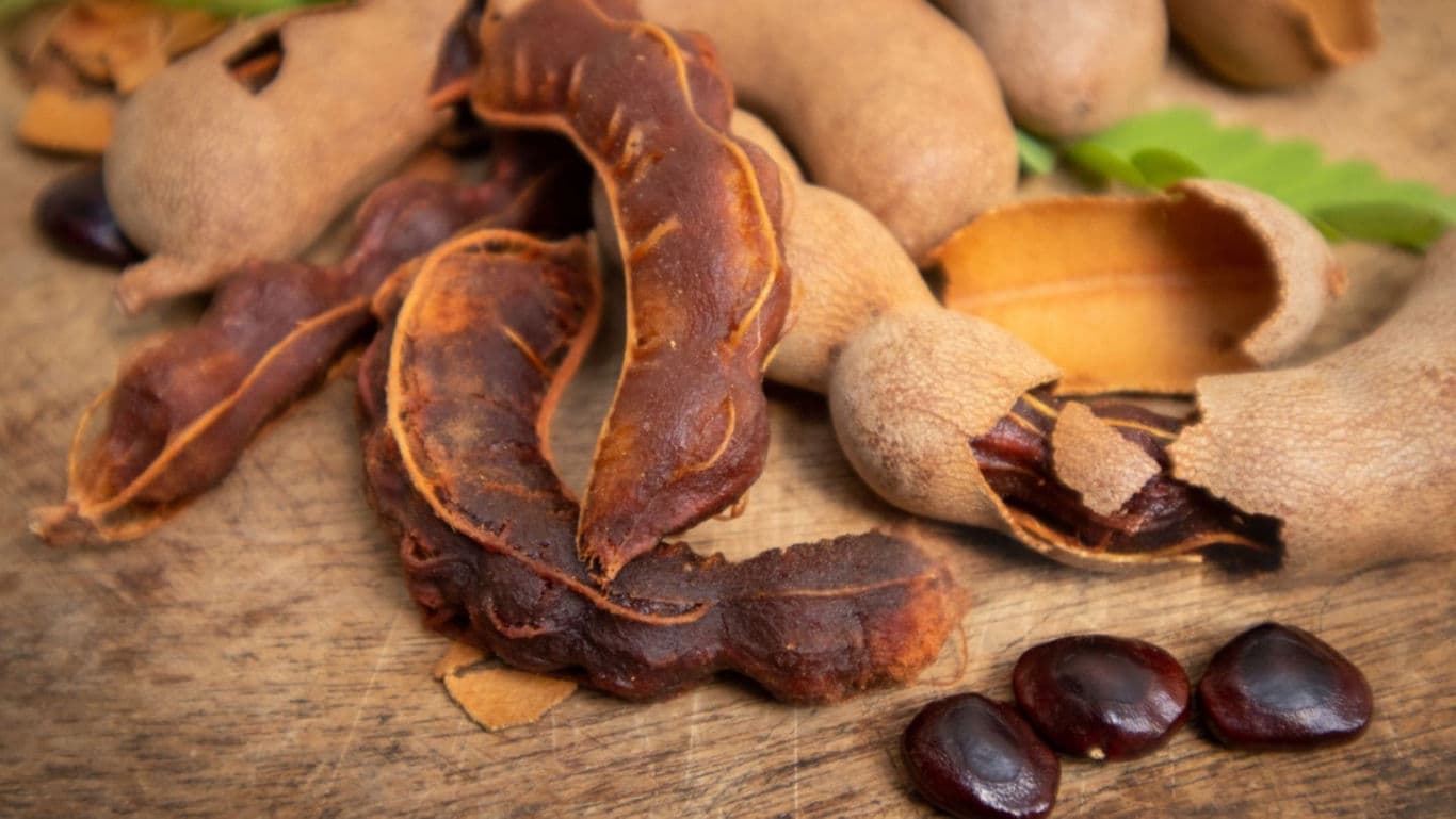 Fresh Tamarind