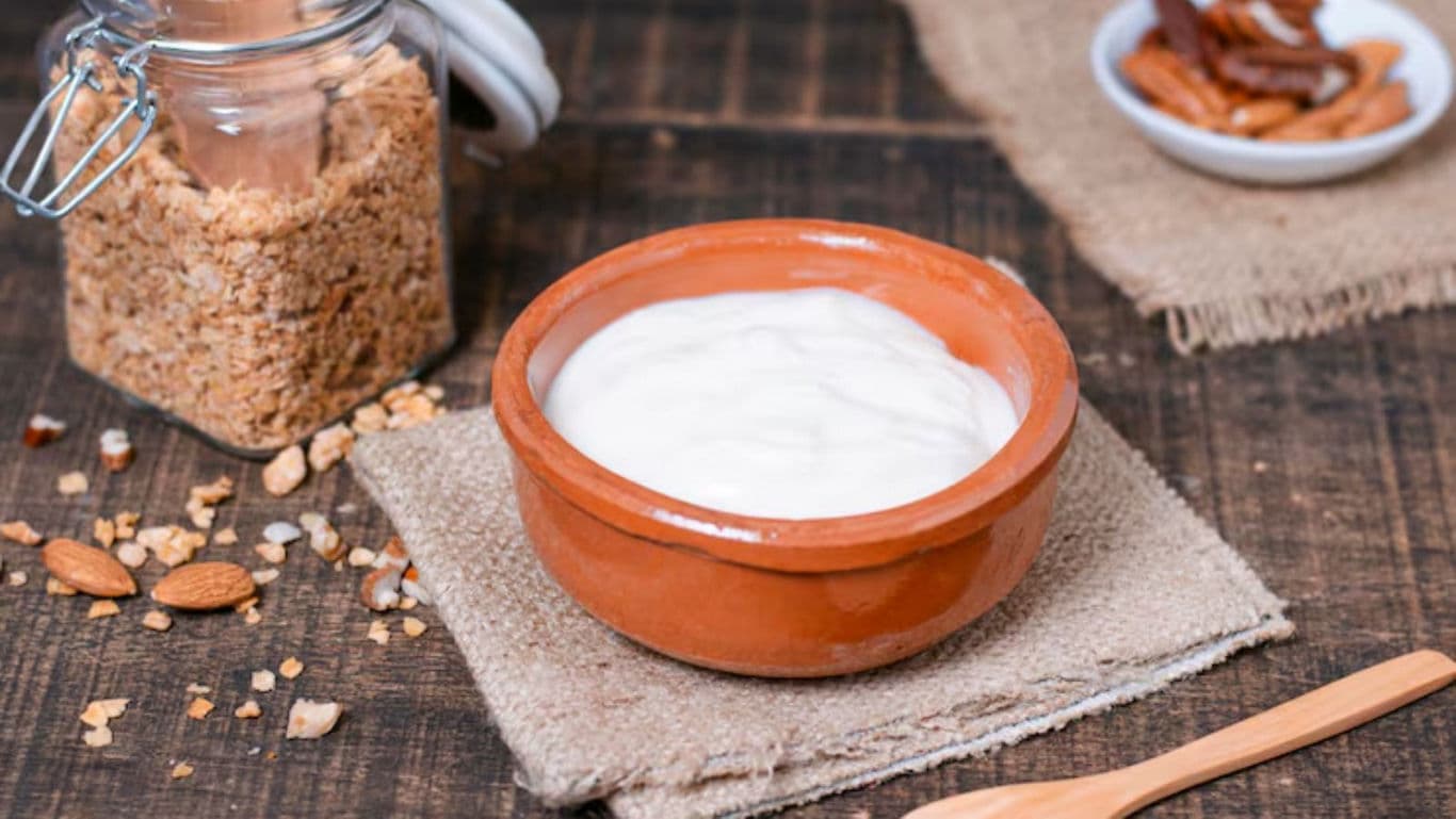 Creamy yogurt in rustic terracotta bowl