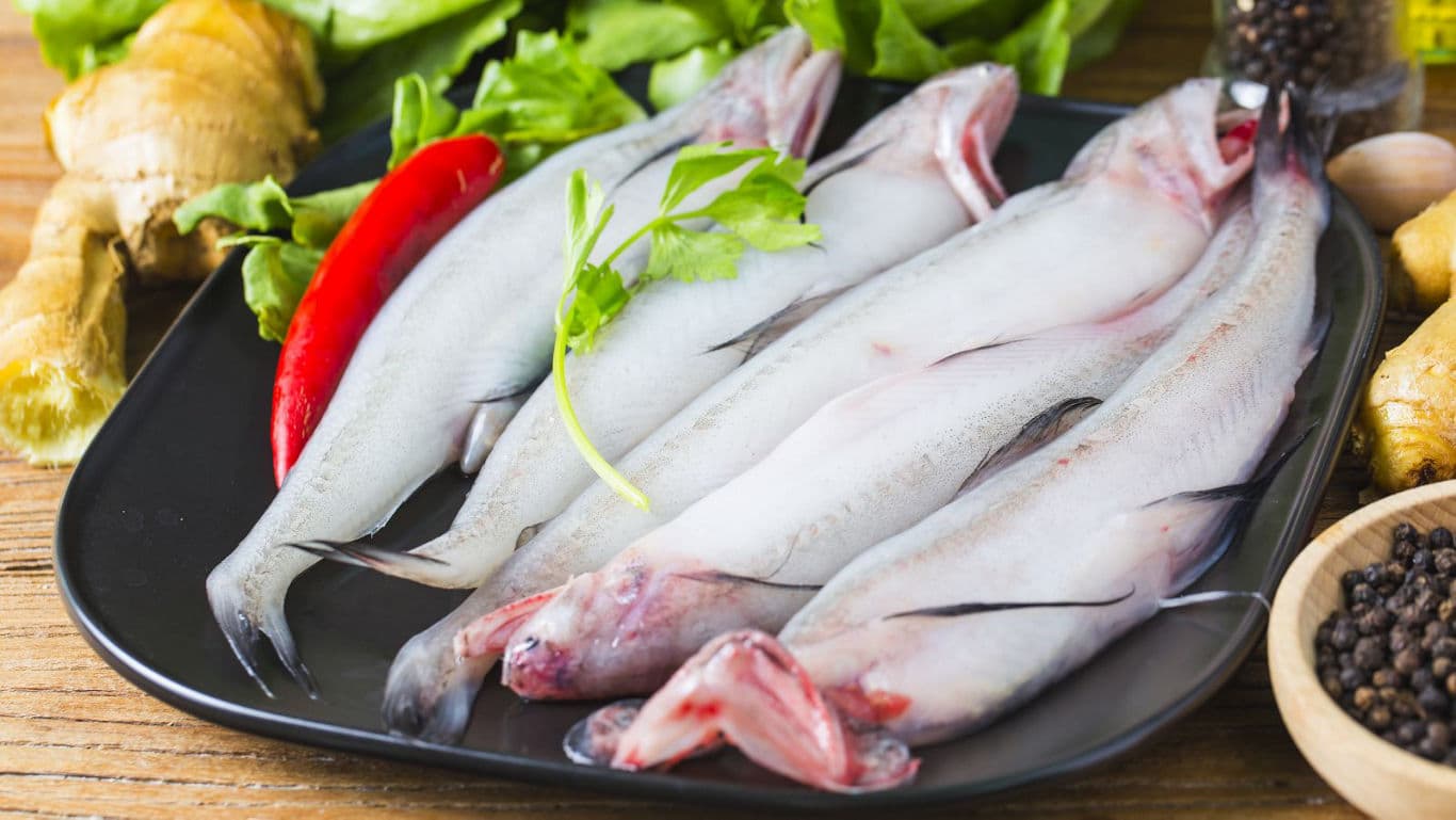 Fresh raw fish on black plate with spices