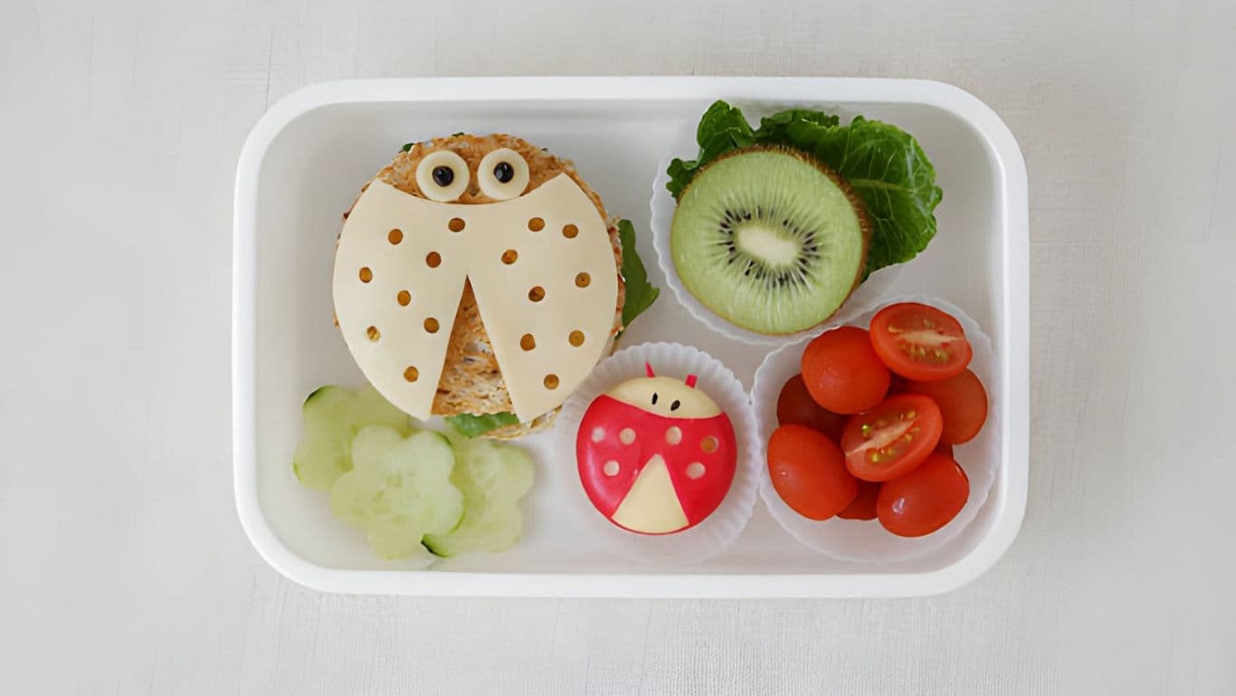 Creative kids lunch with ladybug theme