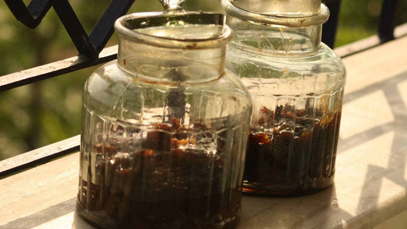 Sunlit Glass Jars with Dark Liquid on Ledge