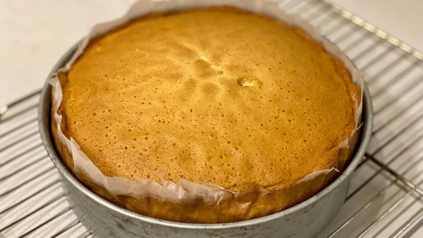 Freshly baked sponge cake in round pan on rack