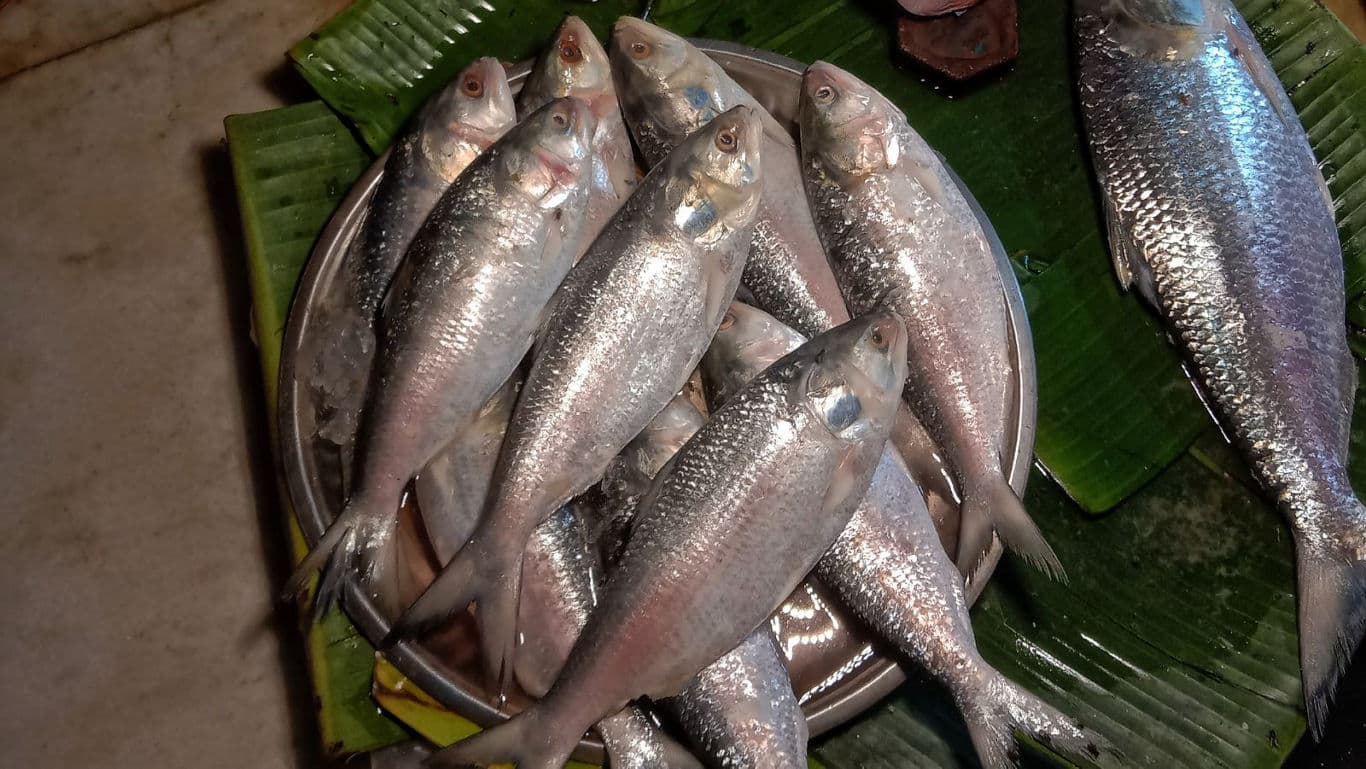 Fresh silver fish on banana leaves