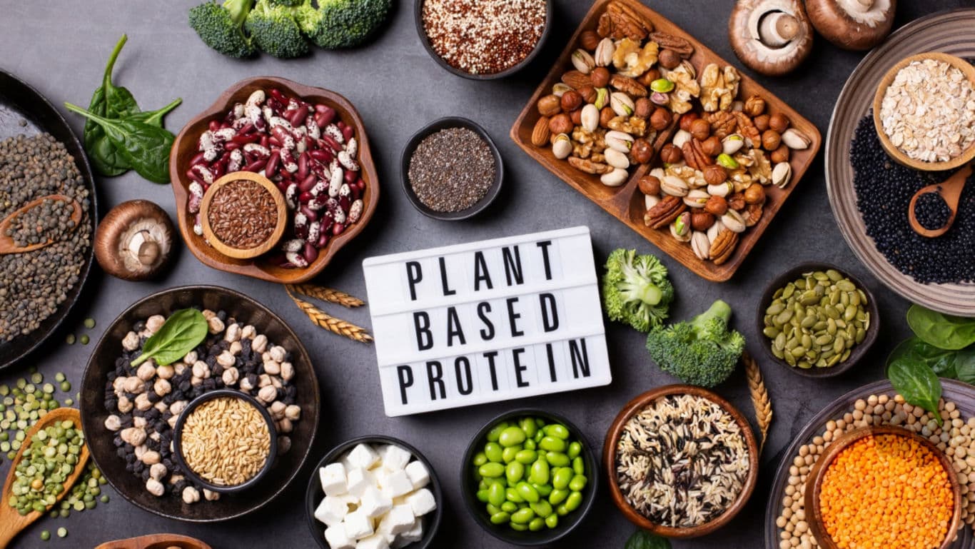 Plant-Based Protein Foods with Nuts and Grains