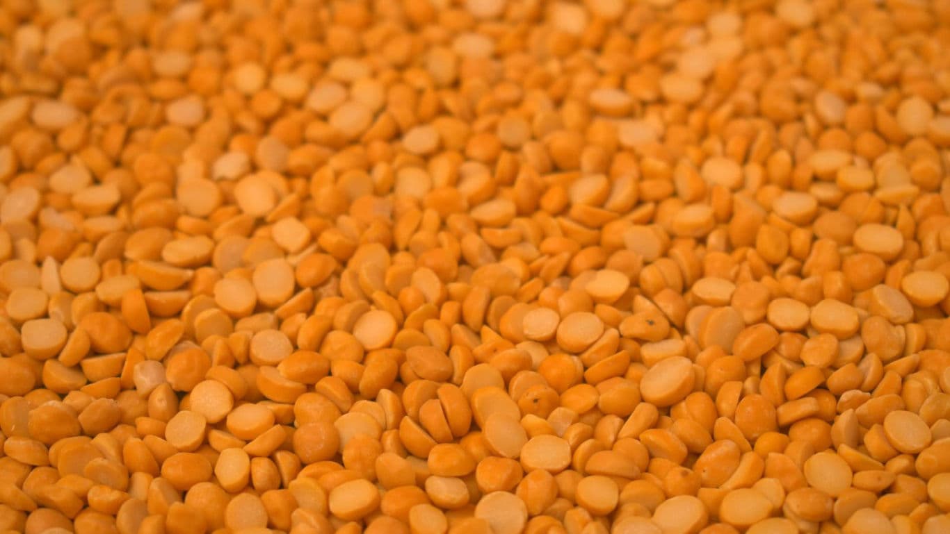 Close-up of yellow split lentils