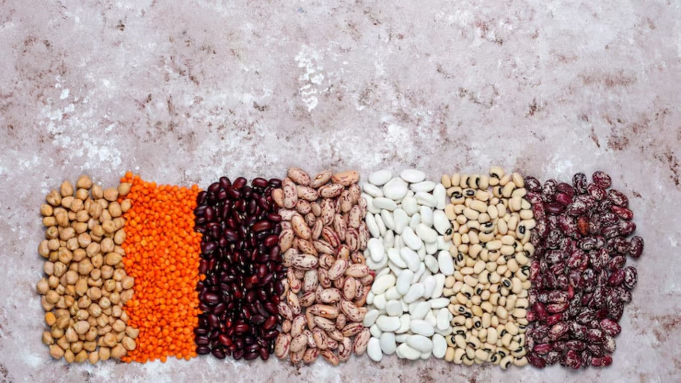 Assorted legumes arranged on textured surface