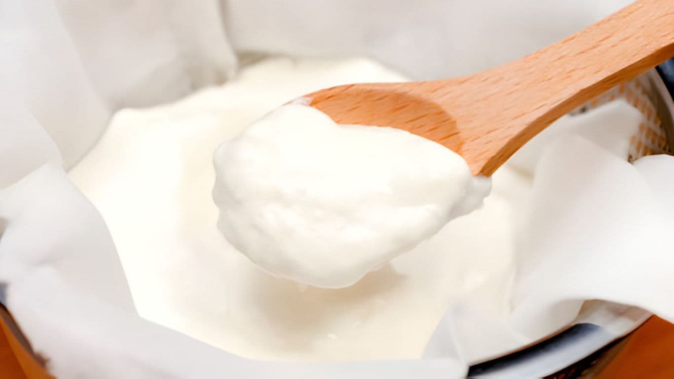 Wooden Spoon Scooping Fresh Homemade Yogurt
