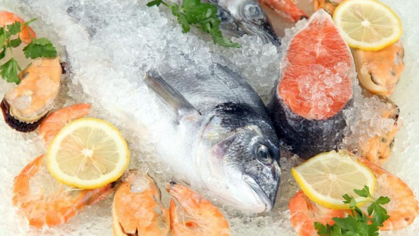 Fresh fish and seafood on ice with lemon slices