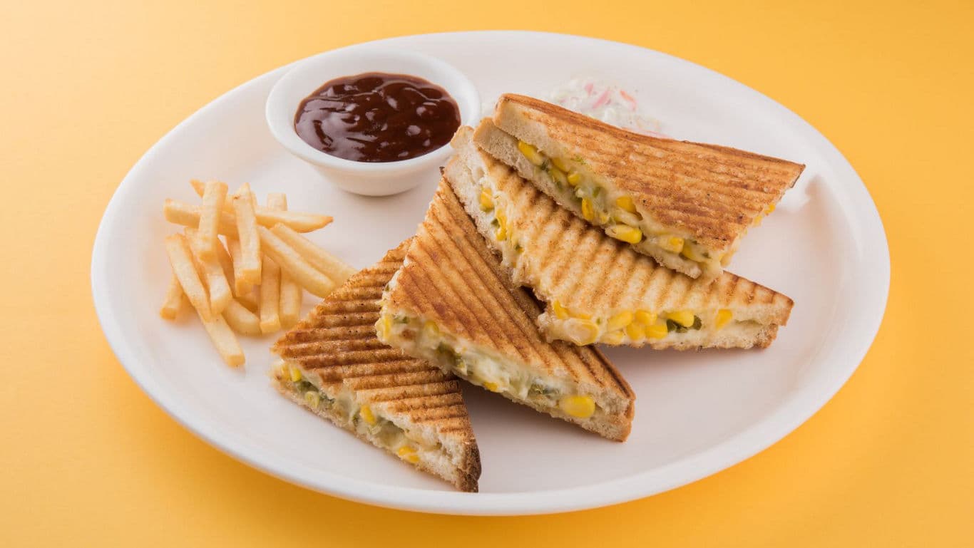 Grilled sandwiches with fries and dip