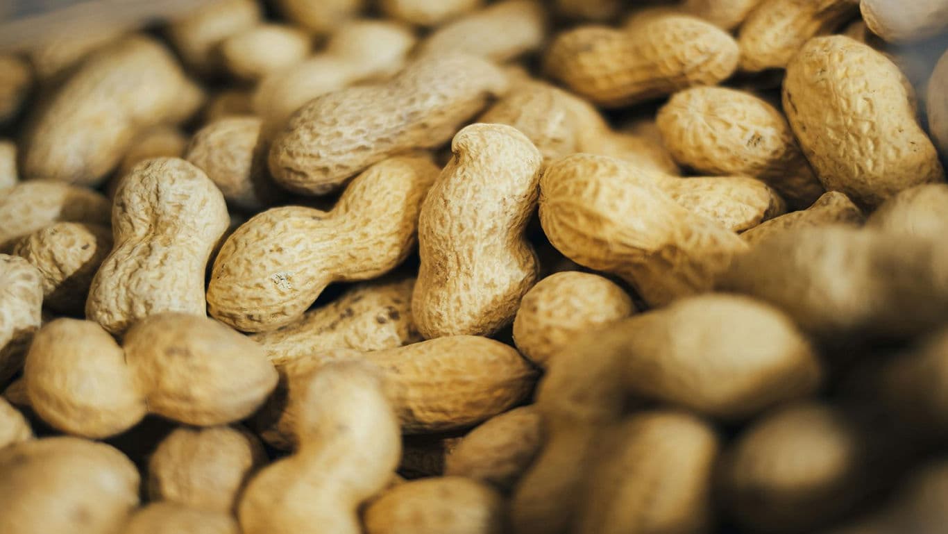 The Winter Pantry Reset: 20 Ingredients That Make Cold-Weather Cooking Effortless