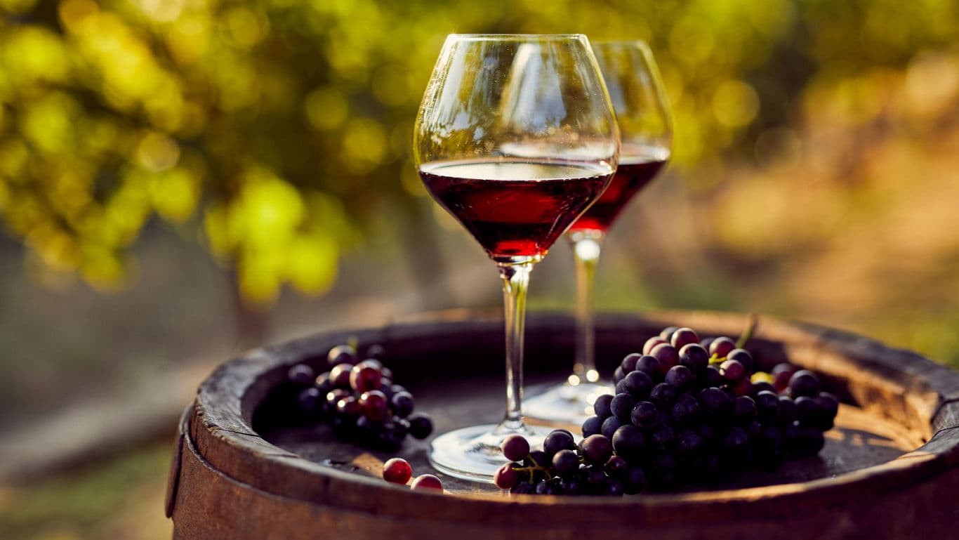Red wine glasses and grapes on vineyard barrel