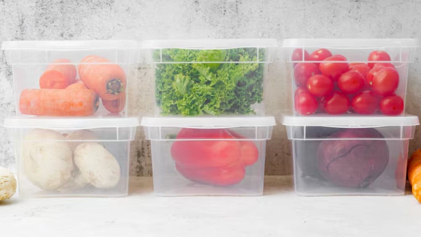 Fresh vegetables stored in clear plastic containers