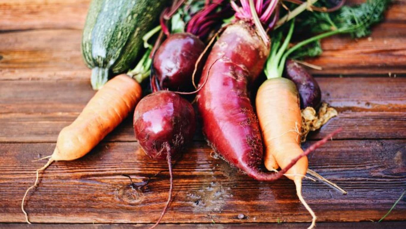 Fresh root vegetables on rustic wooden table