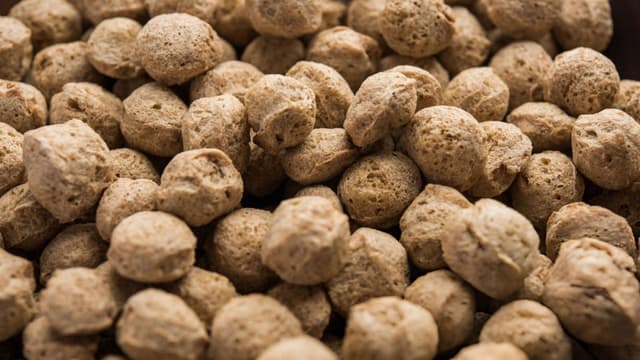 soya chunks
