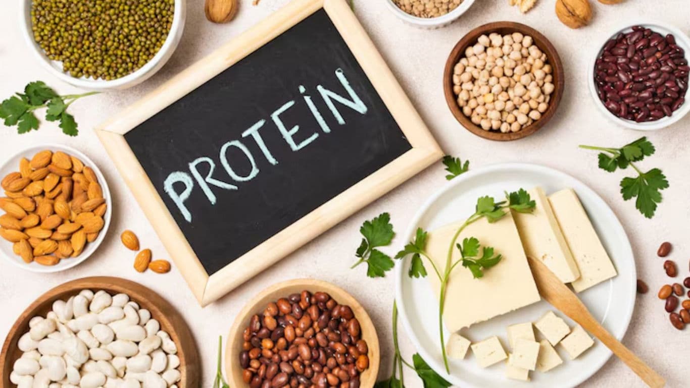 Assorted Plant-Based Protein Sources Display