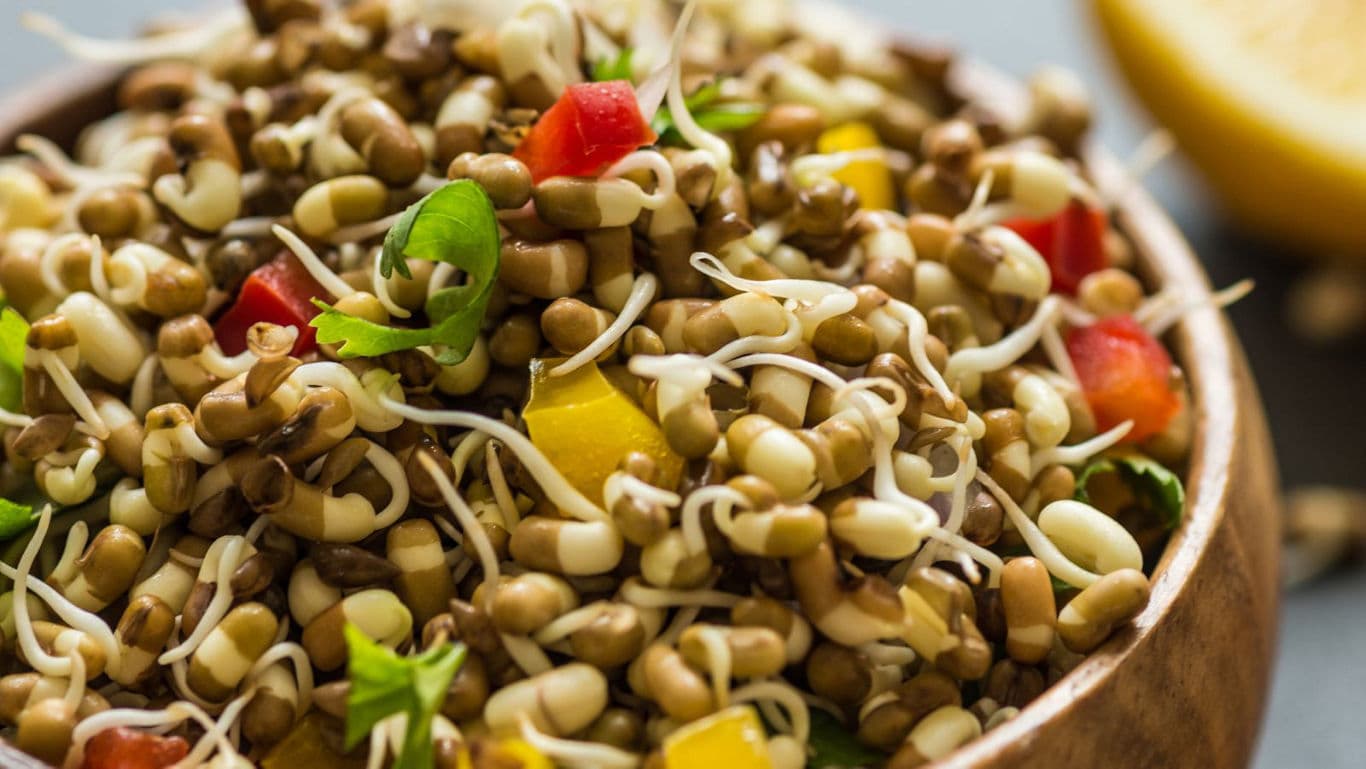 Fresh sprout salad with colorful vegetables
