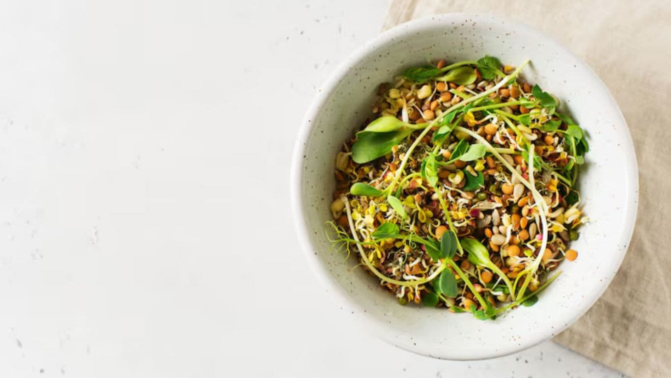 Fresh sprout salad in white bowl