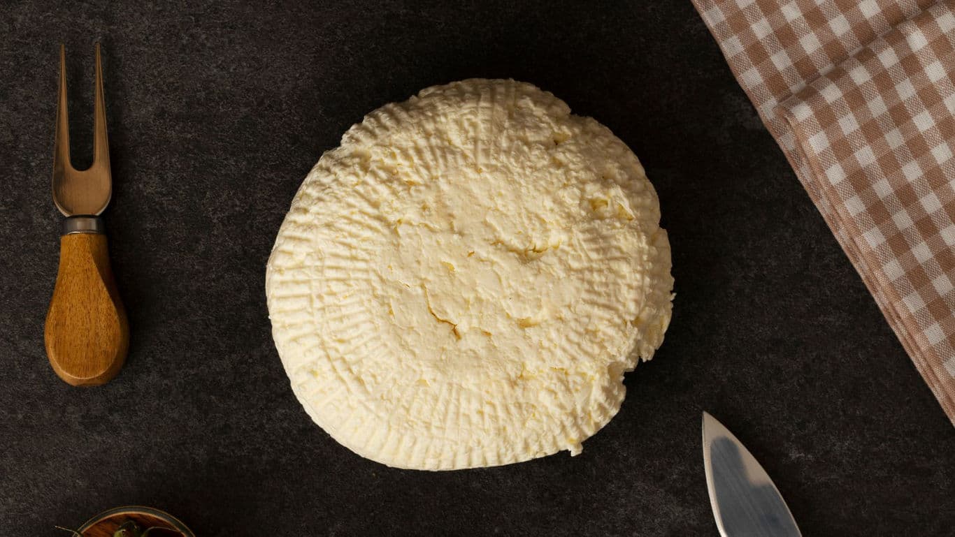 Fresh round cheese on dark surface
