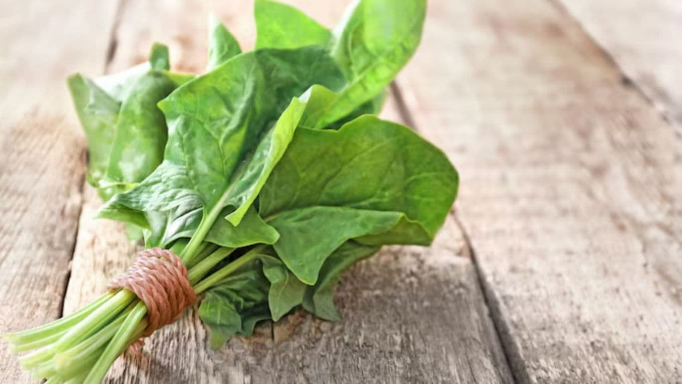 Fresh Spinach Bunch on Wooden Table