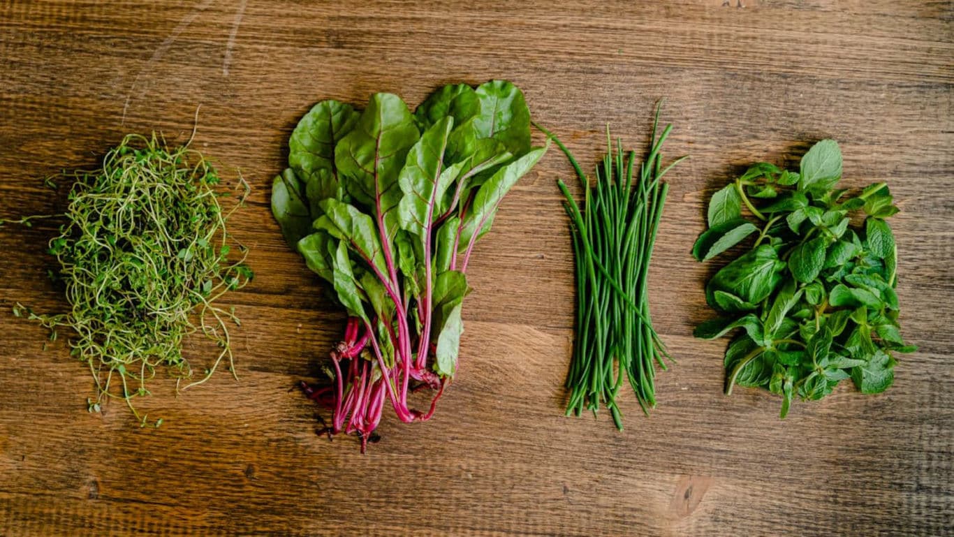 Herbs and Greens on a table
