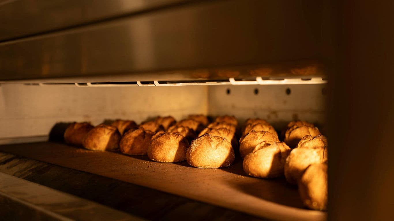 Freshly baked bread rolls in commercial oven