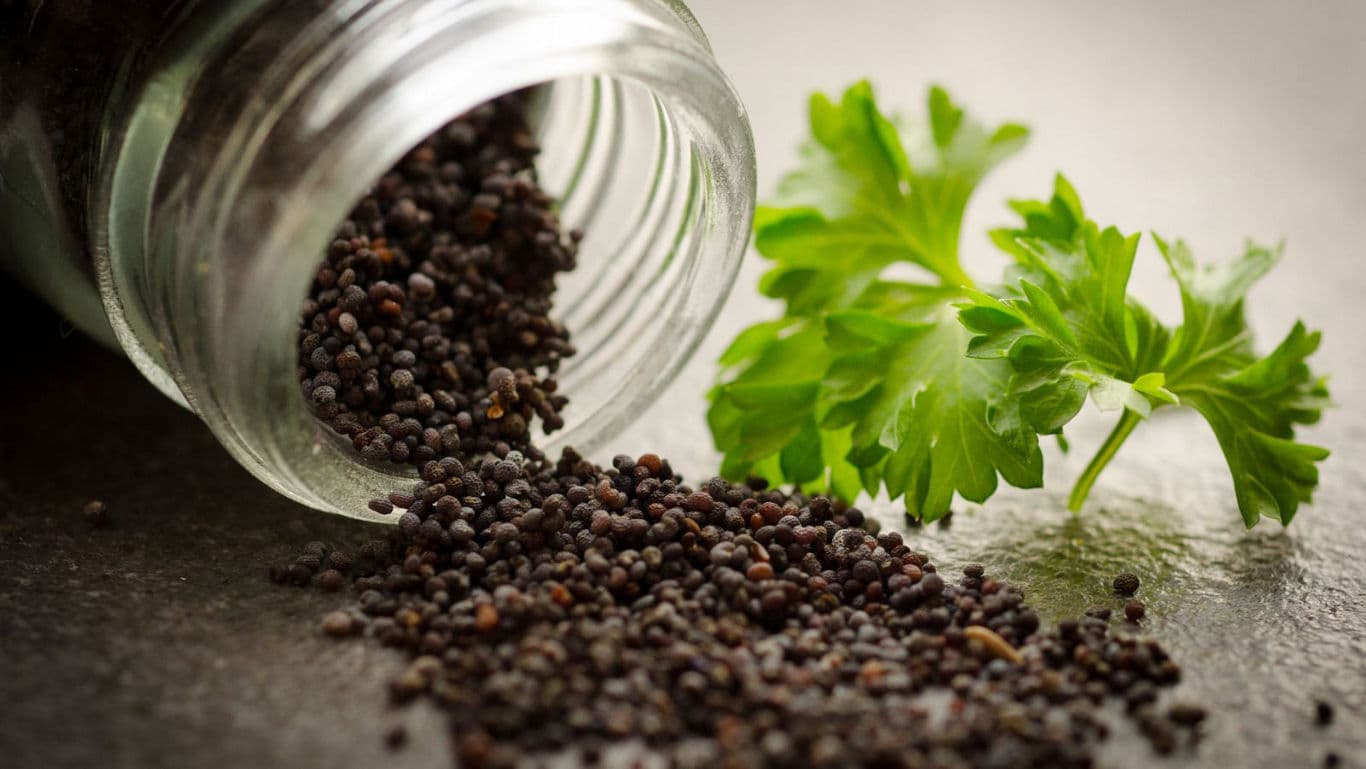 Glass jar of poppy seeds with parsley