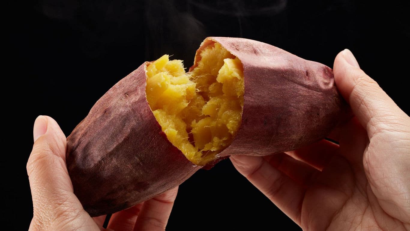Steaming roasted sweet potato in hands