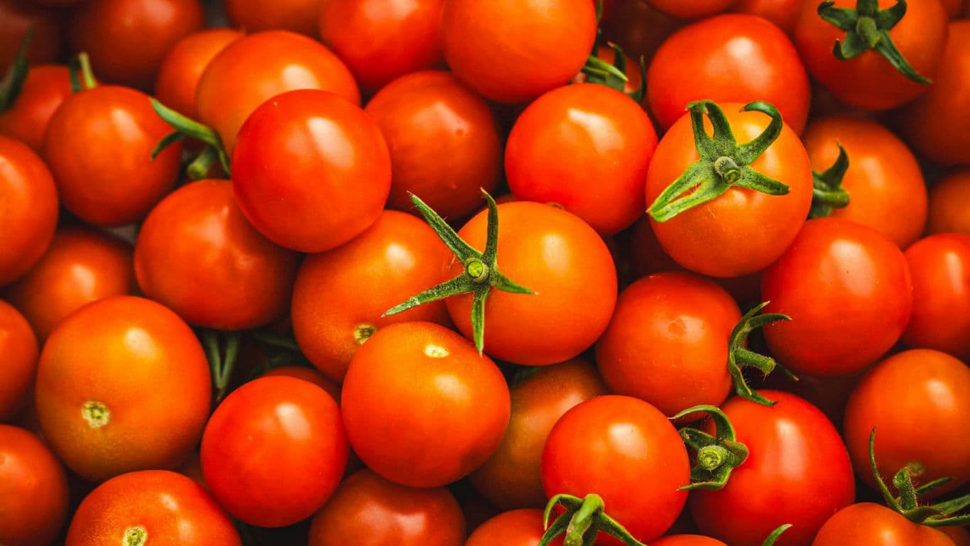 Fresh ripe cherry tomatoes close-up