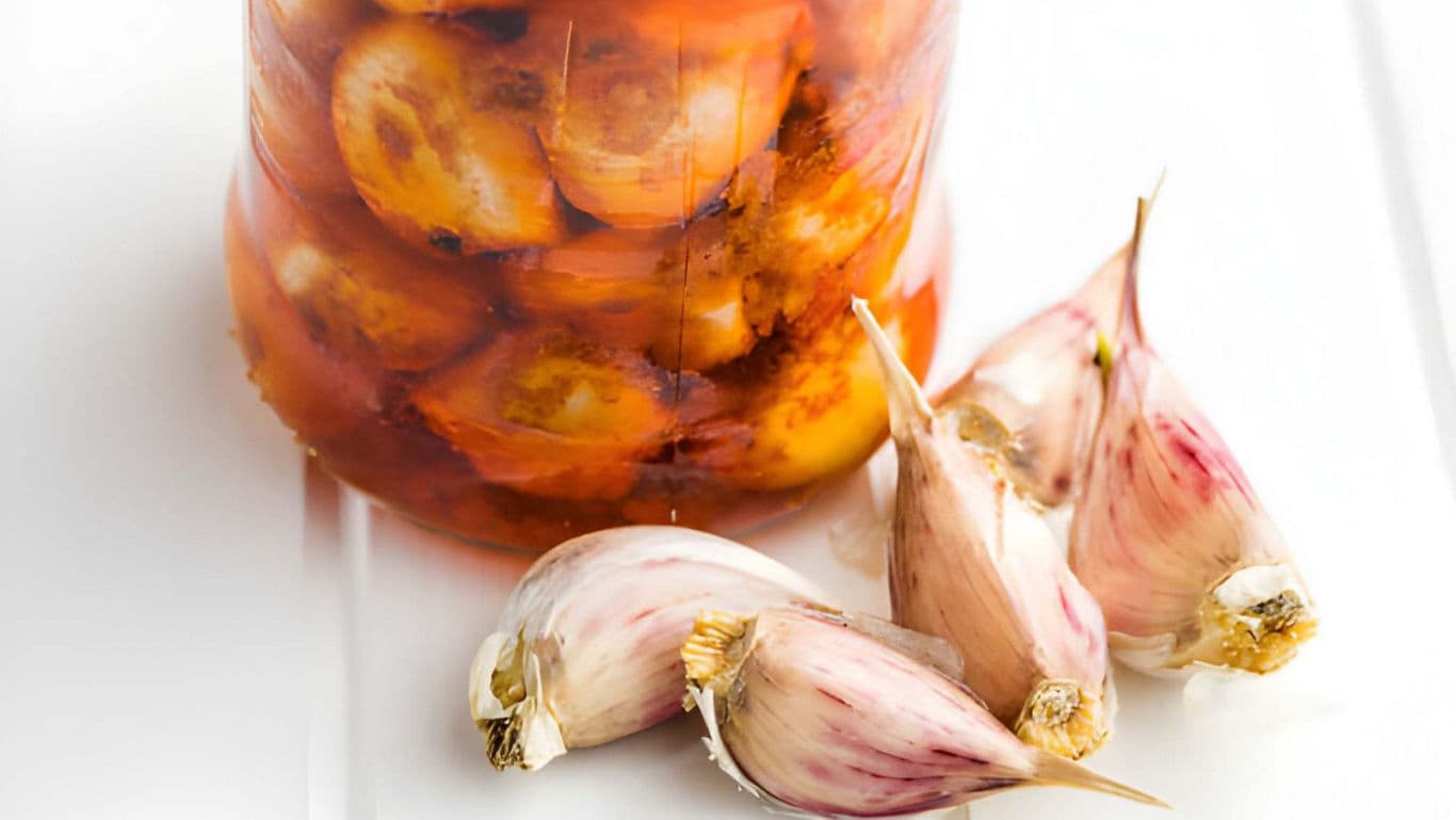 Pickled garlic cloves in jar with fresh bulbs