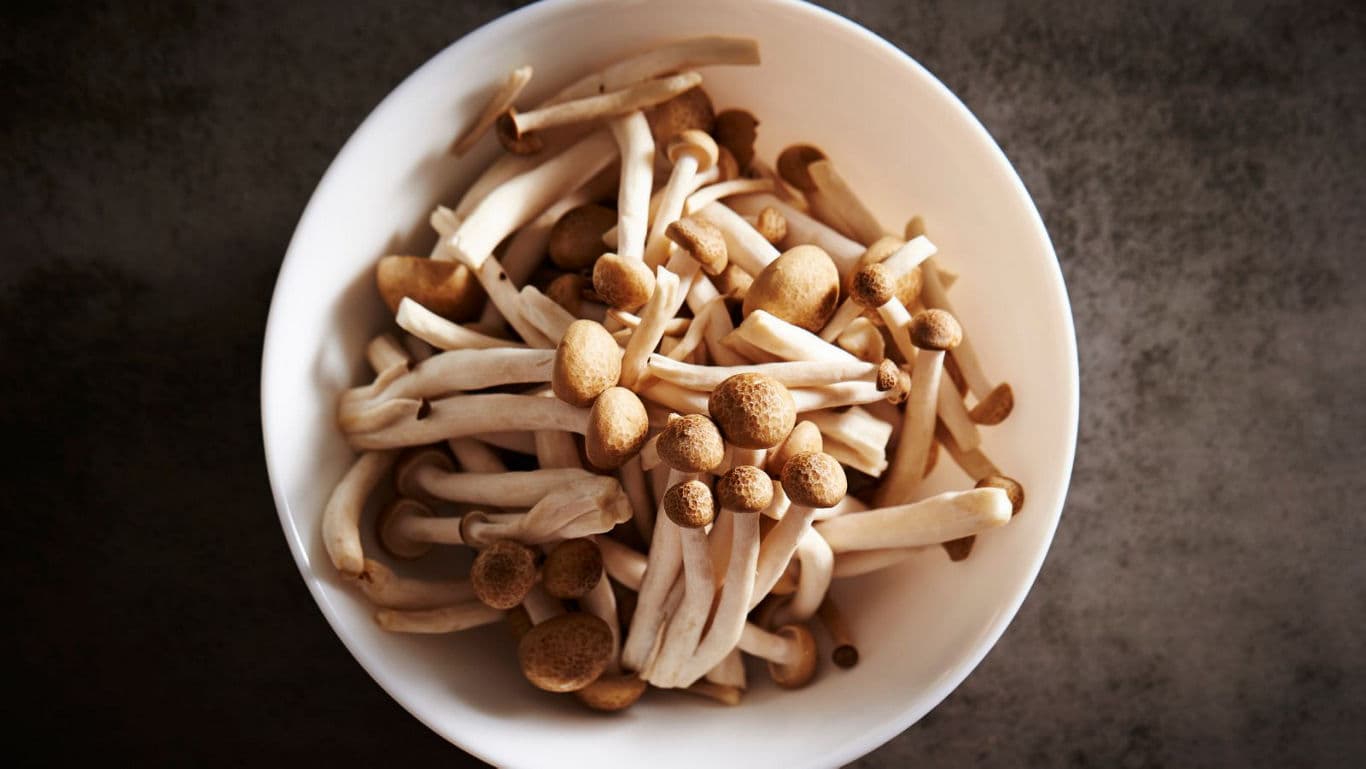 Fresh mushrooms in white ceramic bowl