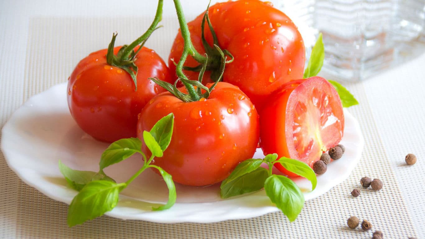 Fresh Tomatoes with Basil on Plate