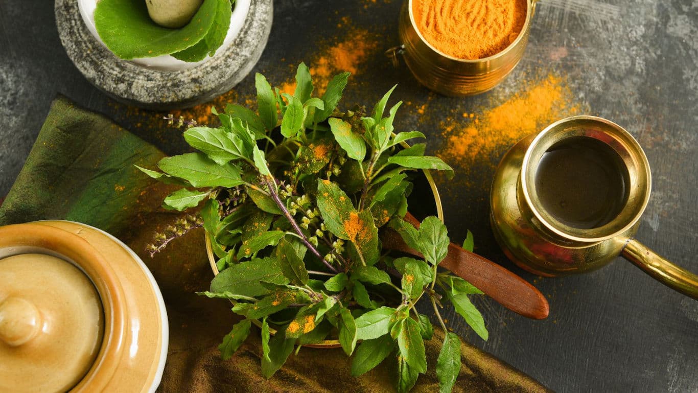 Fresh herbs with turmeric and brass utensils