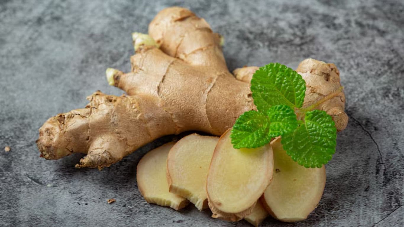 Fresh ginger root with mint leaves
