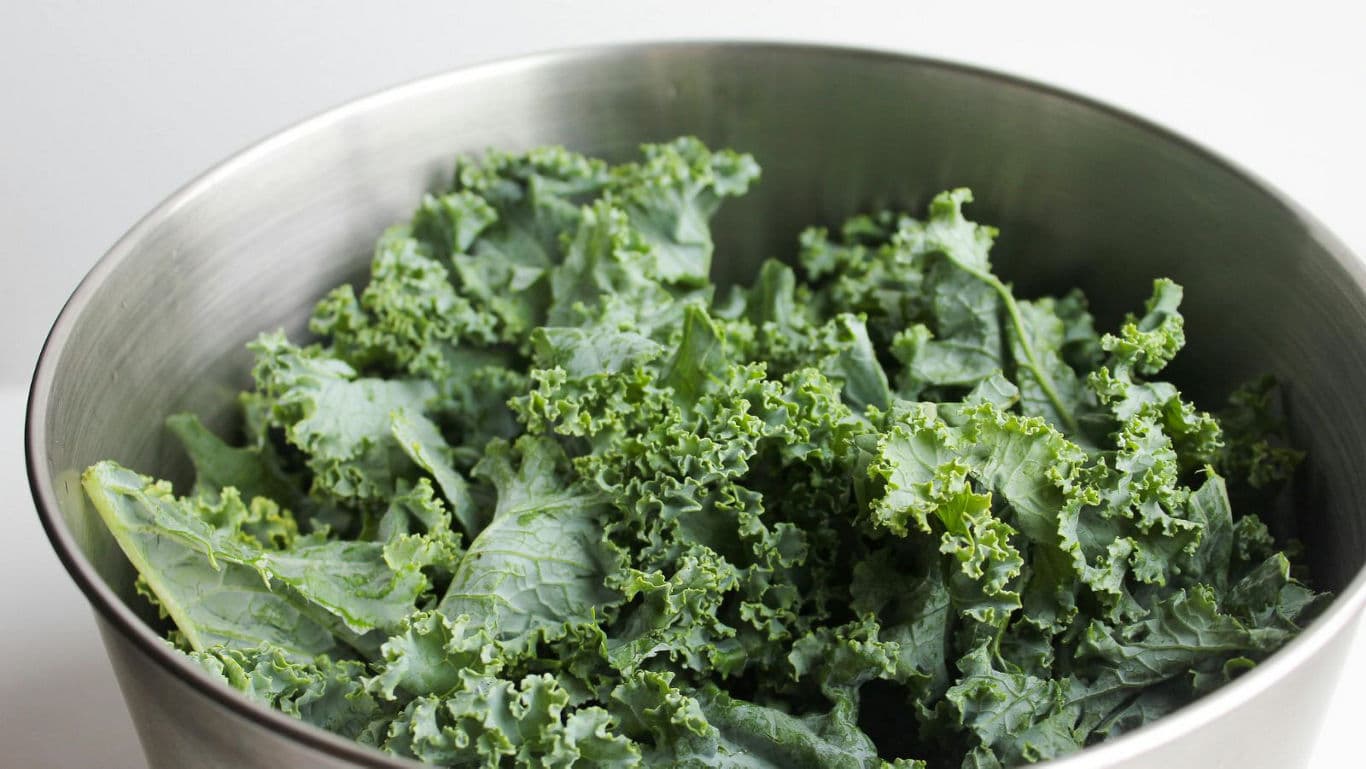 Fresh kale leaves in stainless steel bowl