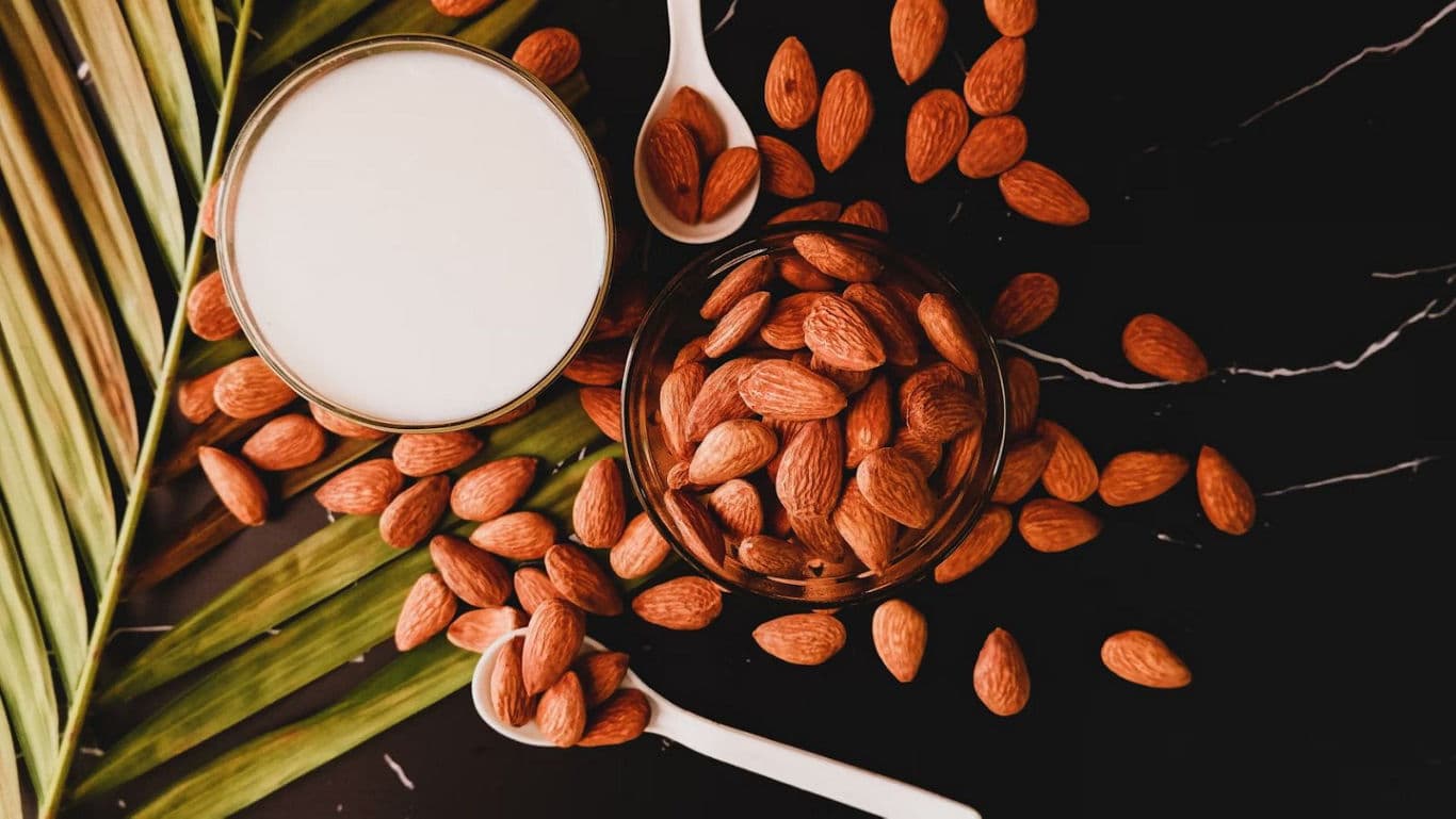 Almonds and Almond Milk with Tropical Leaves