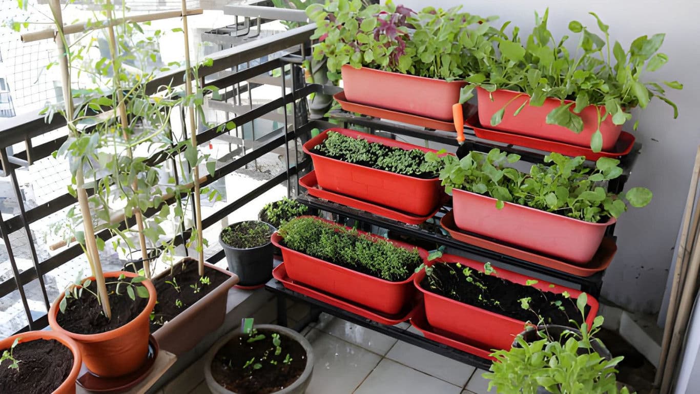Urban balcony garden with potted plants