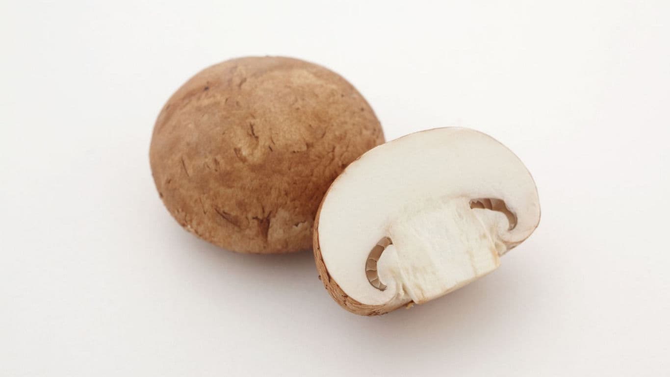 Whole and sliced brown mushroom on white