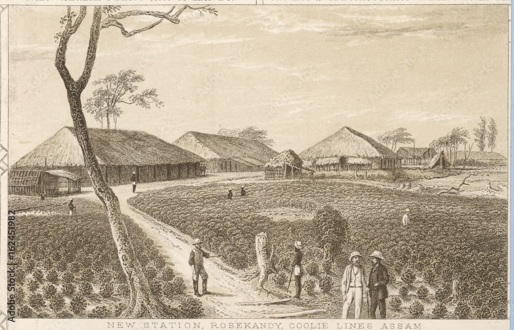 h2quick-summaryh2-pfrom-its-british-colonial-origins-in-assam-to-the-ubiquitous-presence-of-chai-stalls-across-cities-and-villages-tea-has-woven-itself-into-the-fabric-of-indian-society-let-us-find-out-how-traditional-chai-as-we-know-it-has-evolved-into-a-cultural-staple-and-discover-the-modern-trends-shaping-indias-tea-landscape-from-speciality-cafes-to-health-conscious-blendsnbspp-h2deep-diveh2-thumbnail
